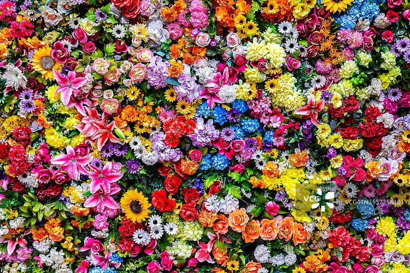 彩色鲜花上的花卉图案图片素材