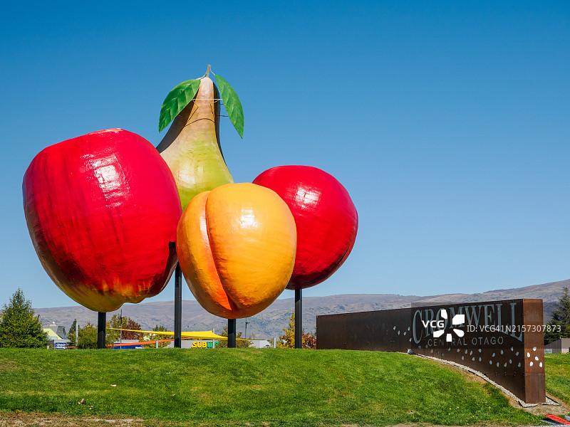 新西兰克伦威尔的巨型水果图片素材