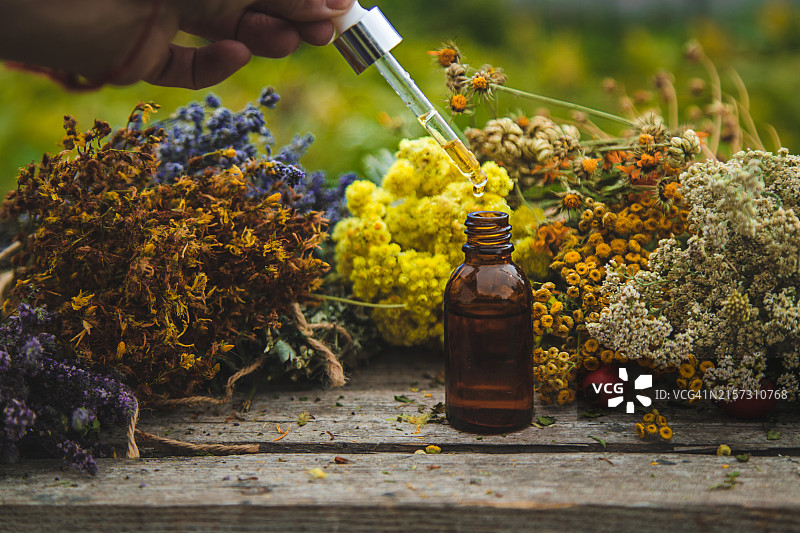 男子浇花图片素材