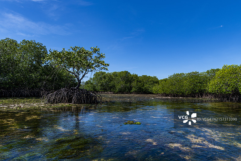 菲律宾棉兰老岛三宝颜大圣克鲁斯岛的沼泽图片素材