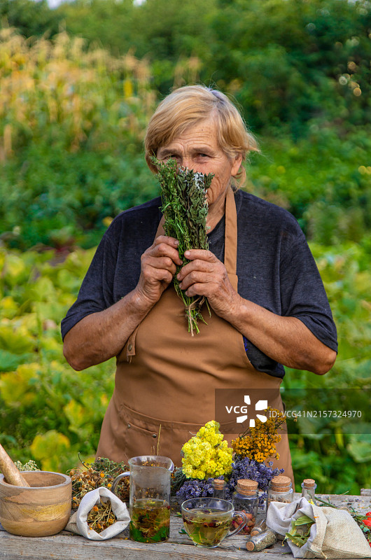老年妇女园艺图片素材