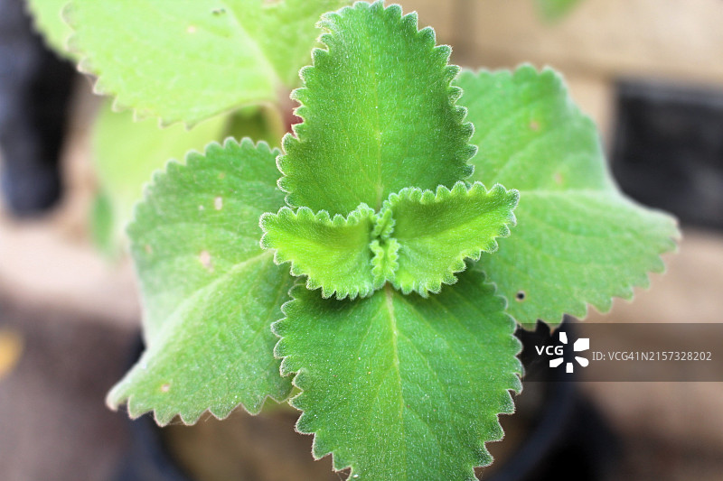 厂房特写图片素材