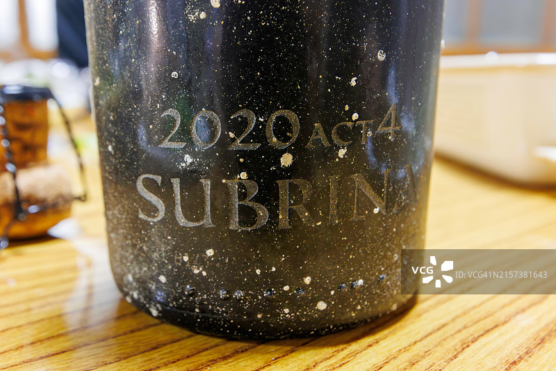 南伊豆中木海域海底陈年葡萄酒图片素材