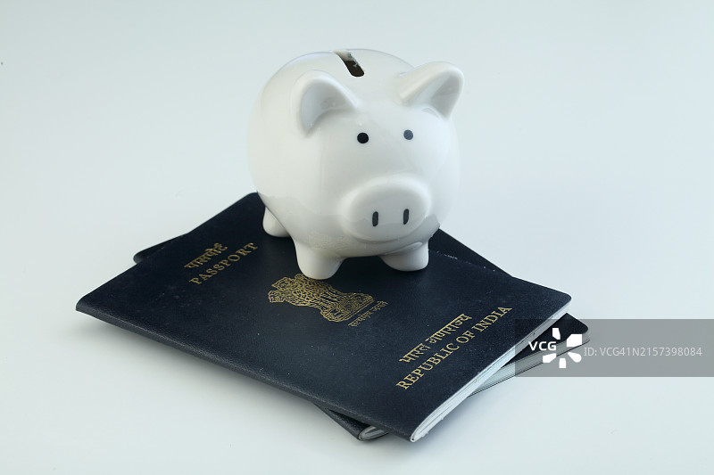 印度护照上的白色小猪储蓄罐图片素材