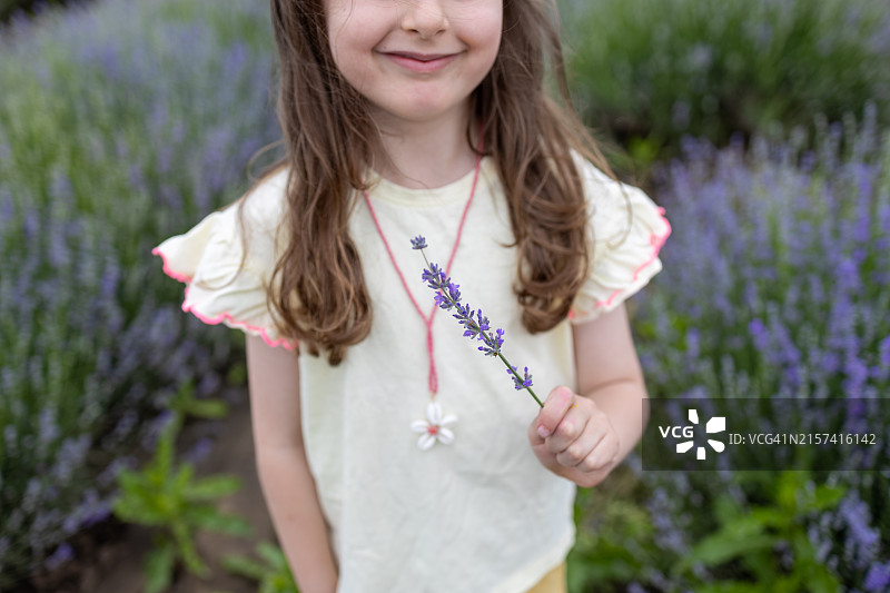 站在薰衣草田中手持薰衣草花的可爱小女孩肖像图片素材