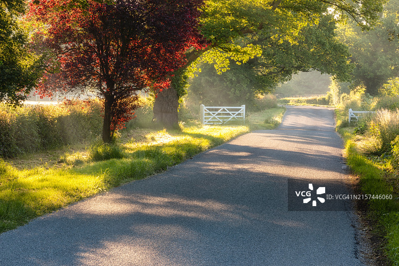 乡村公路图片素材