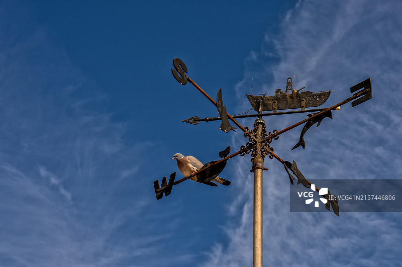 风向标图片素材