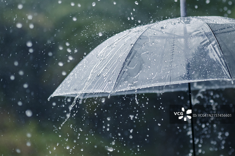 雨季的乌云：春日伞上的清凉雨滴图片素材