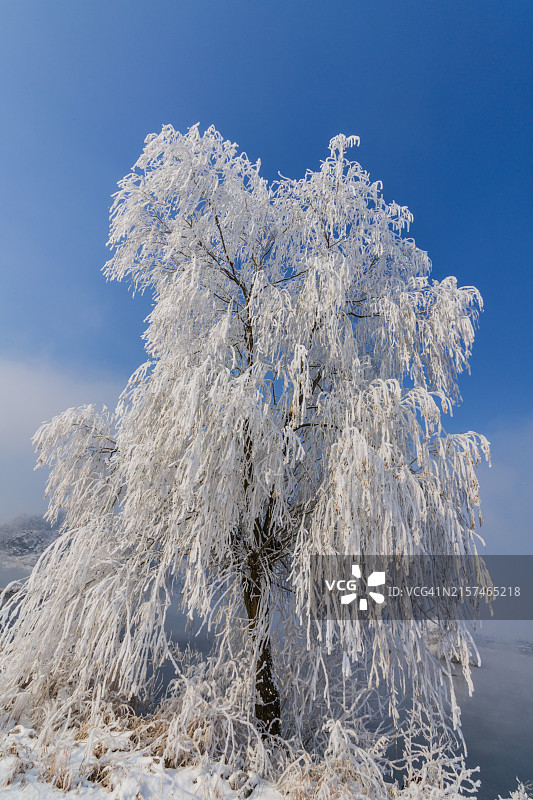 忠州湖，忠州市忠州湖商业学院，忠清北道图片素材