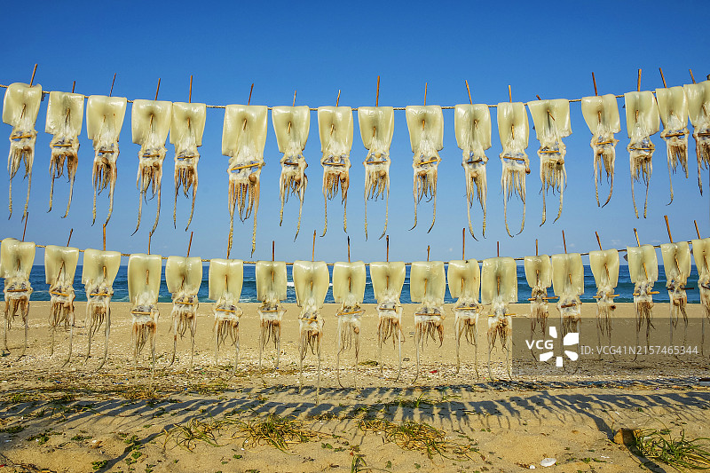 鱿鱼干图片素材