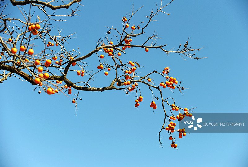 全罗南道珍岛郡云林山房图片素材