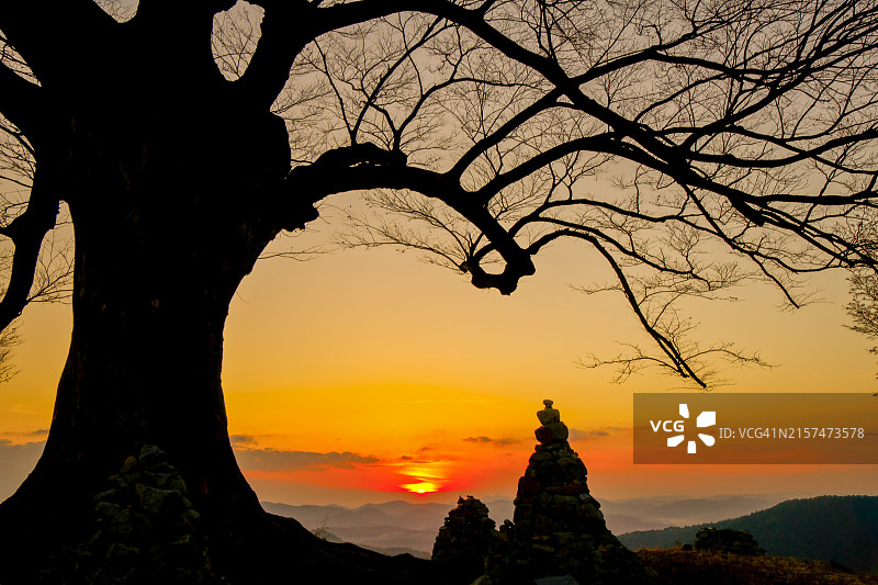 星兴山城爱之树，扶余郡图片素材