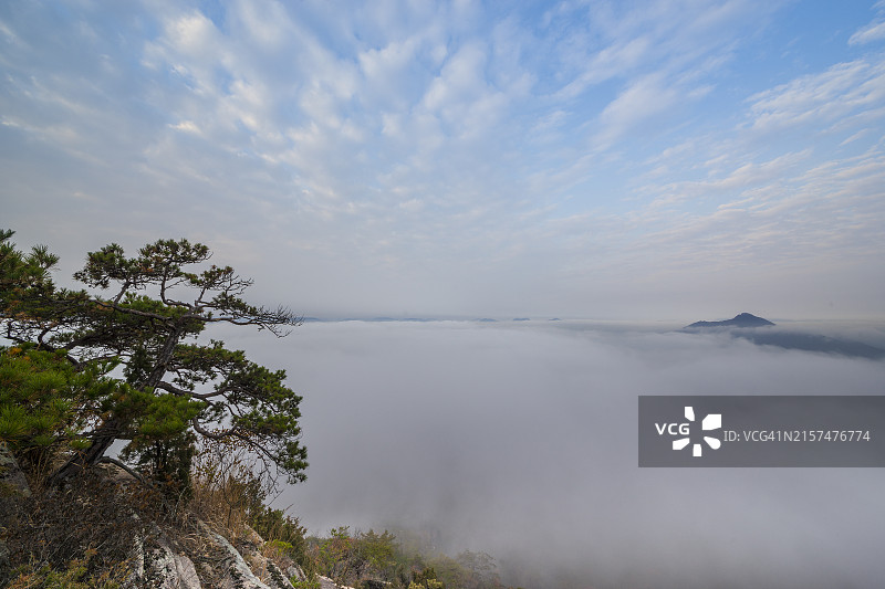 忠清北道堤川市小花园的云海图片素材