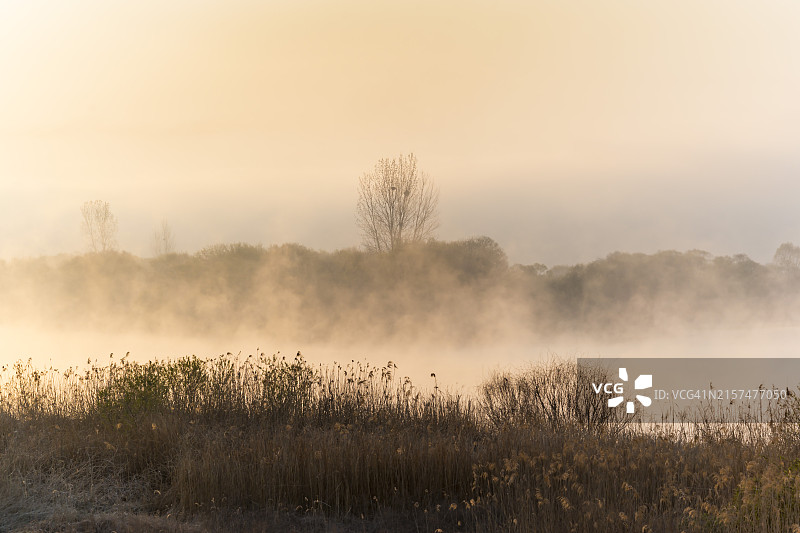 忠清南道扶余郡锦江日出与河岸风光图片素材