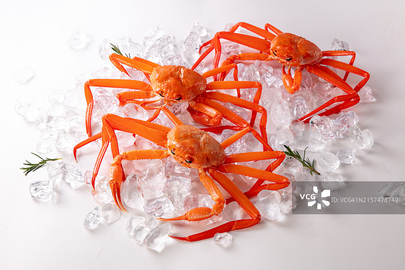 红蟹图片素材
