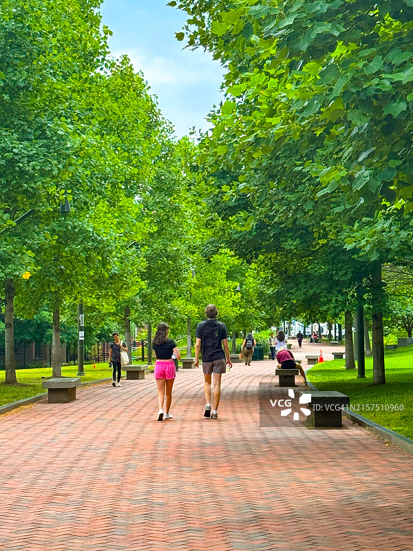 从后面看，情侣走在费城宾夕法尼亚大学校园的树下砖路上图片素材