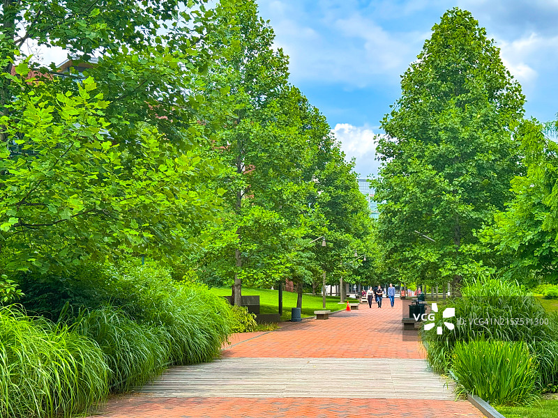 费城宾夕法尼亚大学校园内树下砖路上的行人图片素材