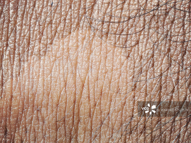 皮肤微距图片素材