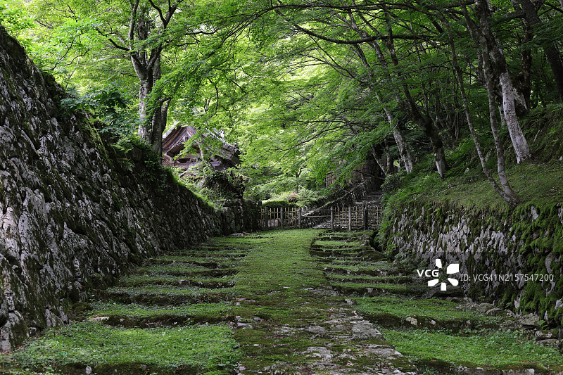 古老寺庙百济寺夏季宁静景色，绿植环绕图片素材