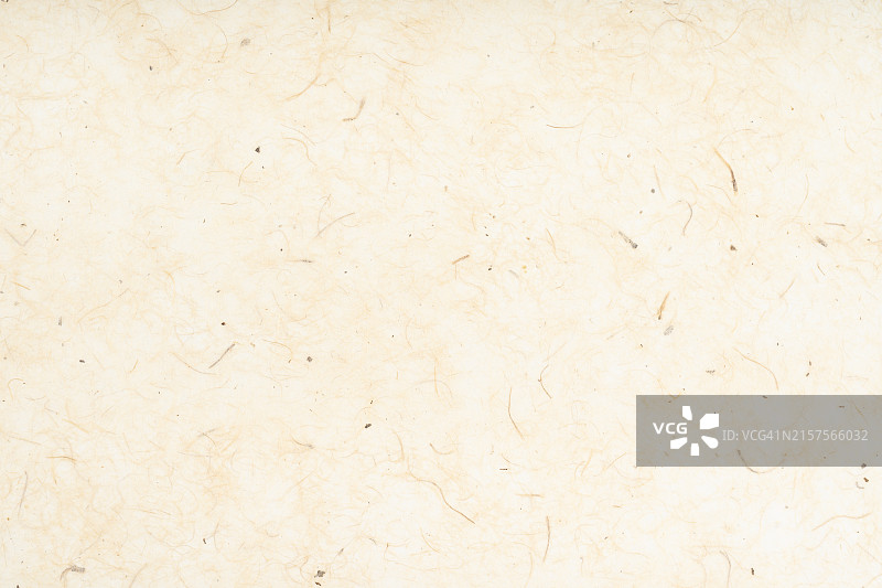 再生花叶纸背景。桑树纸图片素材