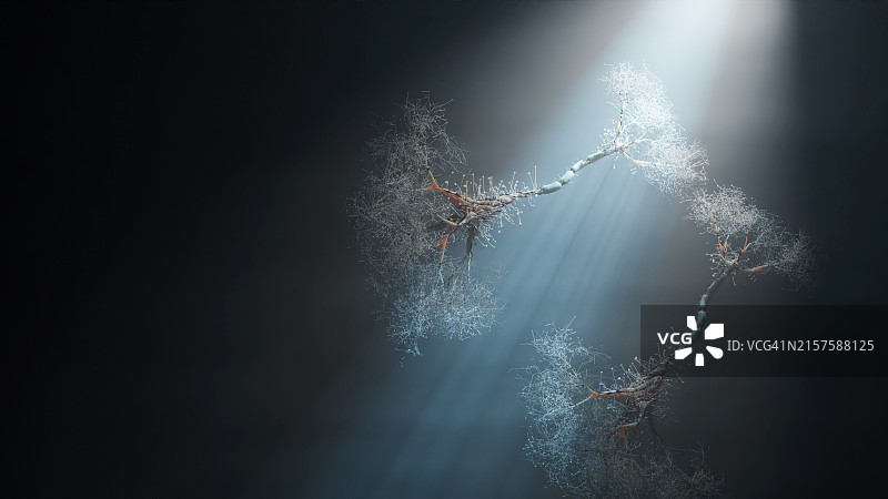 抽象神经元细胞图片素材