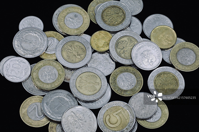 波兰兹罗提硬币货币图片素材