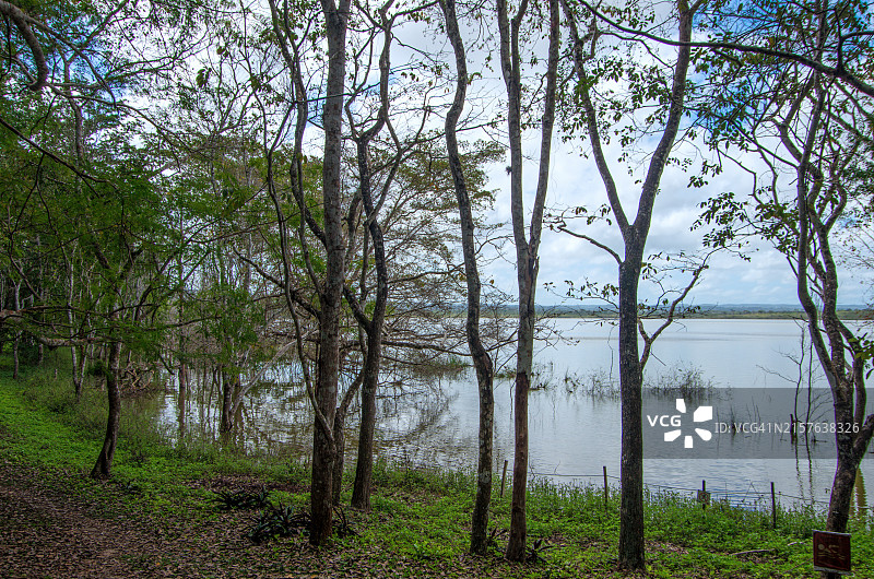 危地马拉佩滕弗洛雷斯亚斯哈湖图片素材