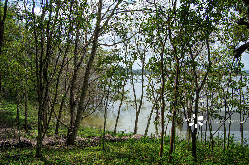 危地马拉佩滕弗洛雷斯亚斯哈湖图片素材