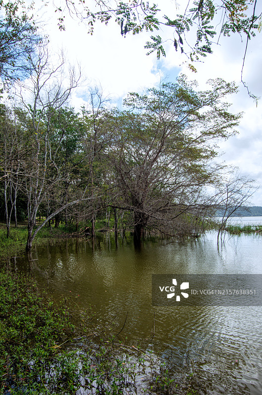 危地马拉佩滕弗洛雷斯亚斯哈湖图片素材