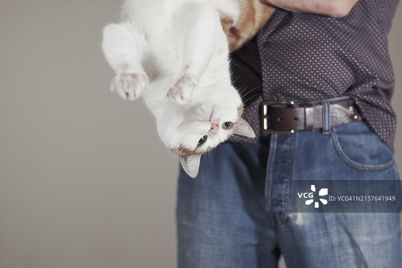 倒置的生姜图片素材