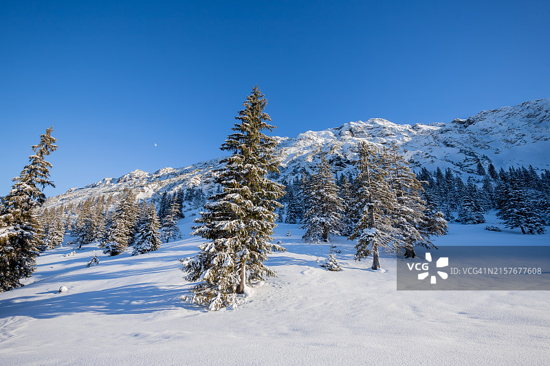 德国巴伐利亚冬季高山雪景图片素材