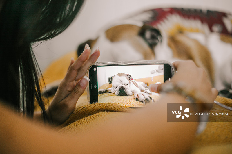 匿名人士在家用手机给他的狗拍照图片素材