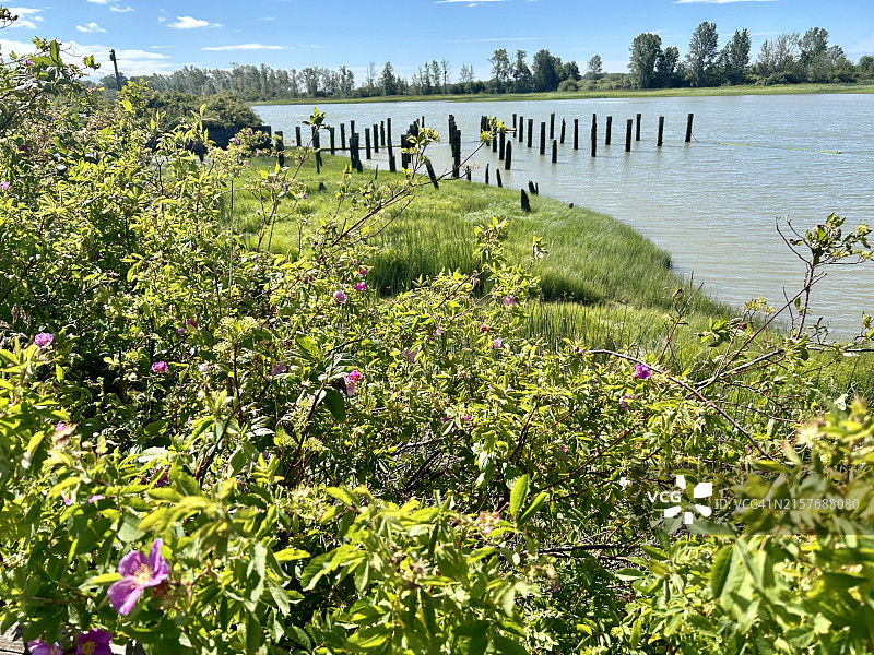 斯蒂夫斯顿遗址图片素材