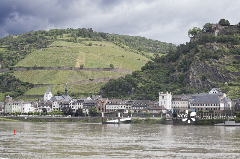 莱茵河畔考布村庄，陡峭山坡上遍布葡萄园图片素材