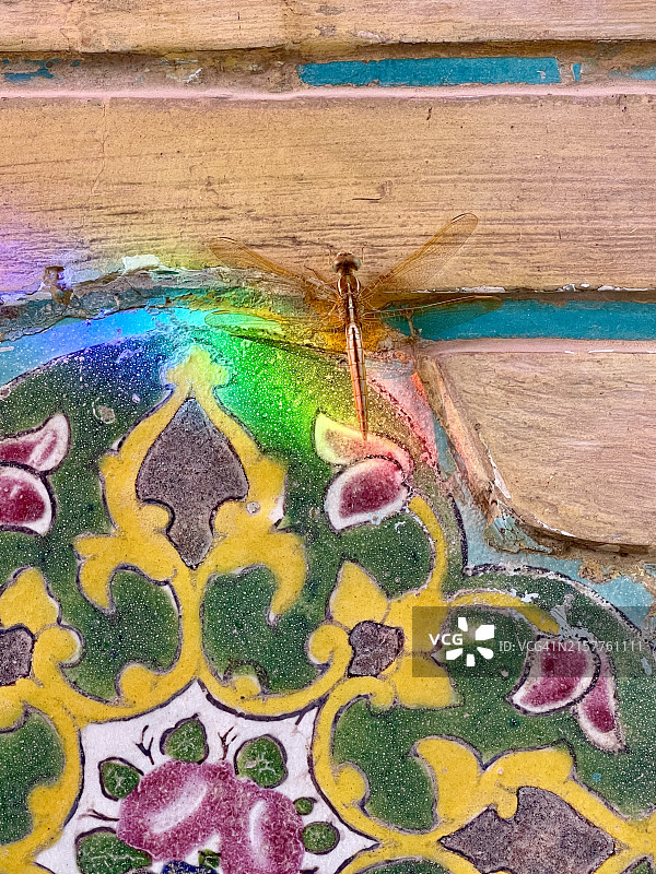 伊拉克纳杰夫的哈拉姆建筑群和阿里·伊本·艾比·塔利卜圣陵图片素材