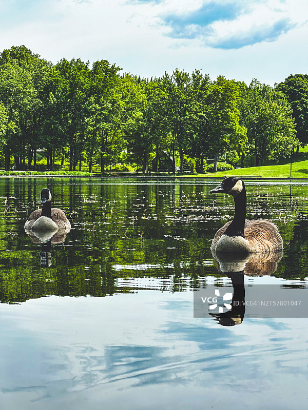 蒙特利尔的海狸湖图片素材