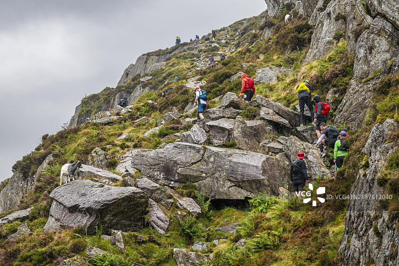 越野跑图片素材