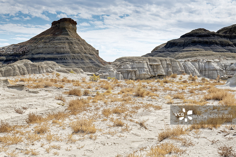 在比斯蒂荒原散步的好时光图片素材