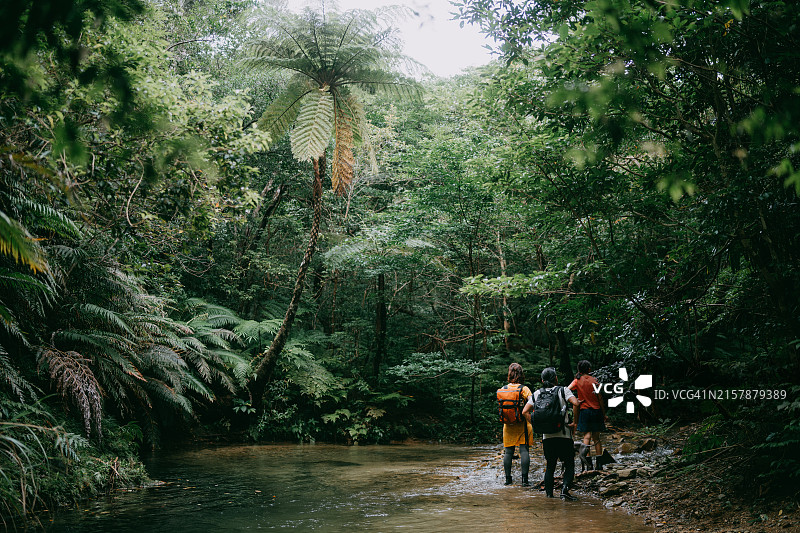 一家人在日本冲绳的丛林河流中徒步旅行图片素材