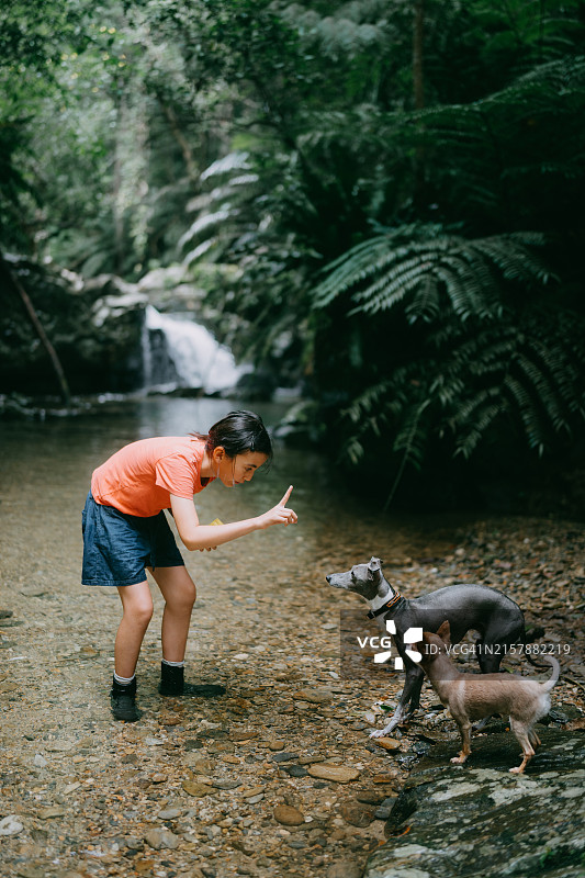 年轻女孩在河边与狗玩耍图片素材