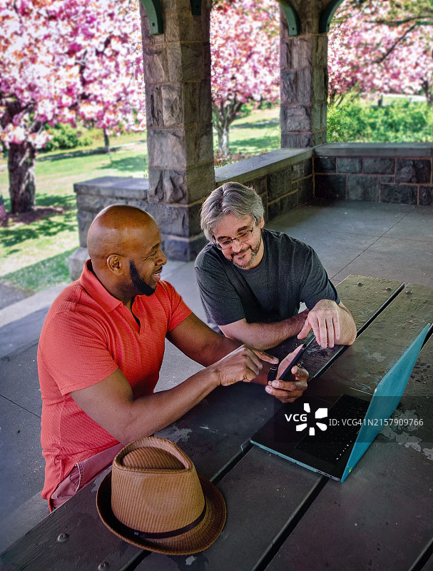 在凉亭里一起工作的男人们，背景是樱花树，一边看智能手机和笔记本电脑一边交谈图片素材