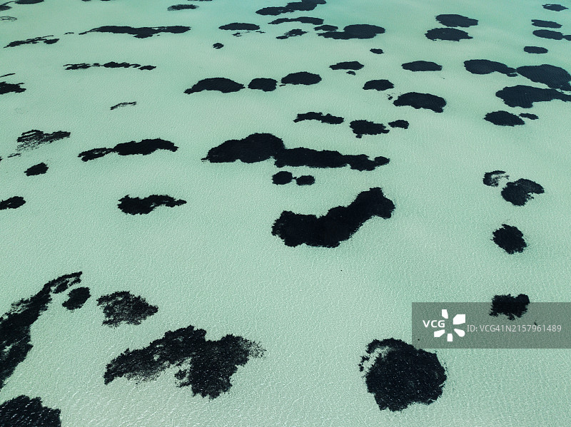 澳大利亚西澳大利亚鲨鱼湾印度洋的奇特图案航拍图片素材