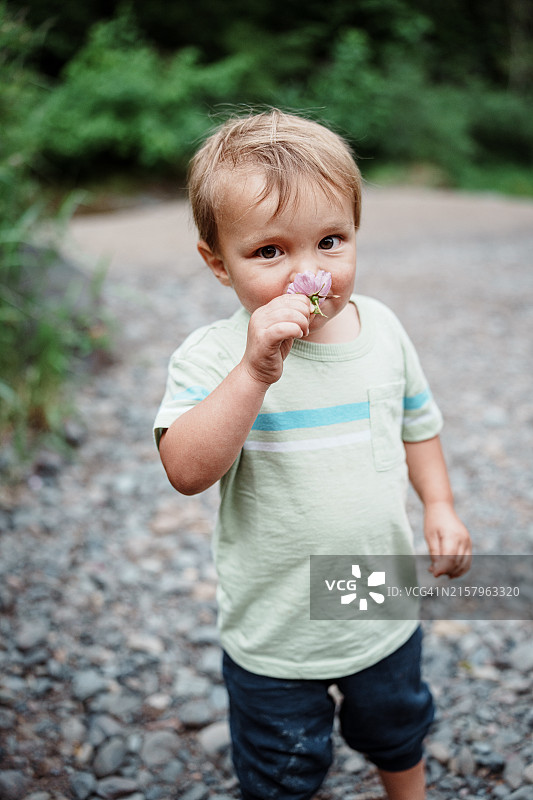 幼儿男孩在俄勒冈州蒂拉穆克徒步旅行时闻着野花图片素材