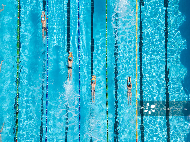 游泳池中的专业游泳运动员图片素材