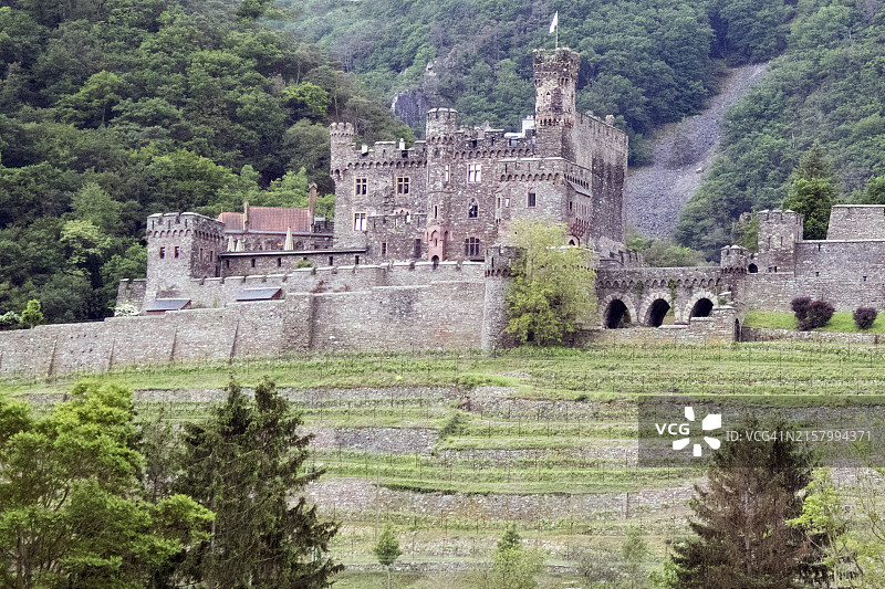 莱茵河畔的赖兴施泰因城堡图片素材