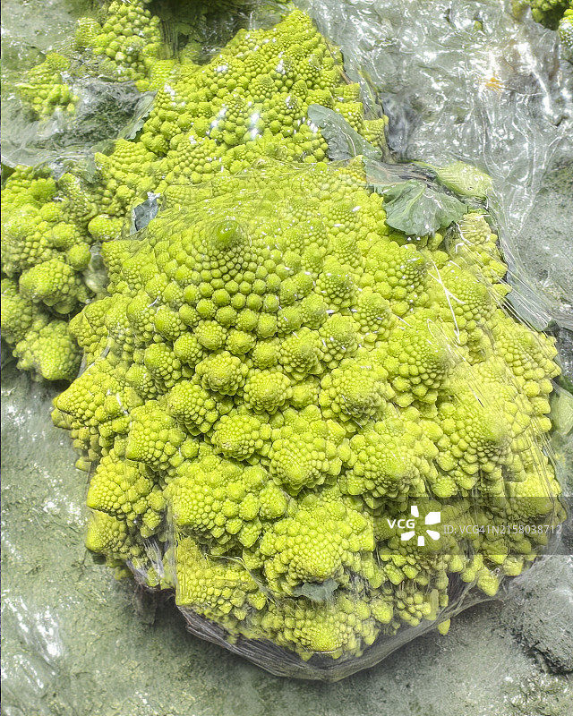 包裹拉伸的花椰菜图片素材