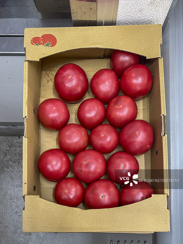 纸板箱中的新鲜红番茄图片素材