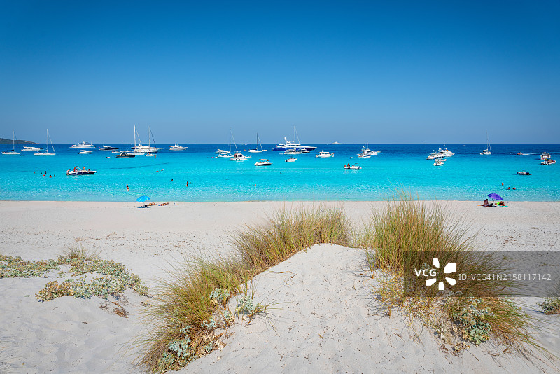 法国科西嘉岛萨列西亚海滩图片素材