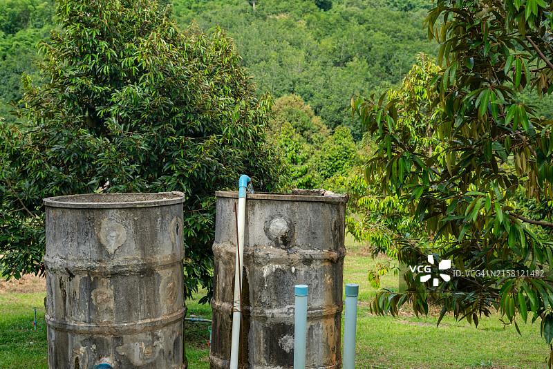 农业用榴莲种植水箱图片素材
