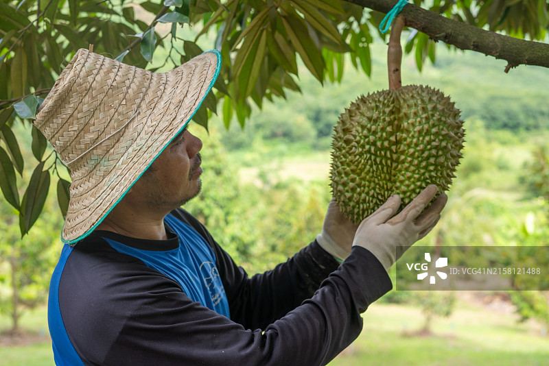 戴草帽的男人拿着榴莲图片素材